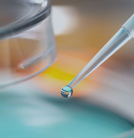 Produits chimiques fins