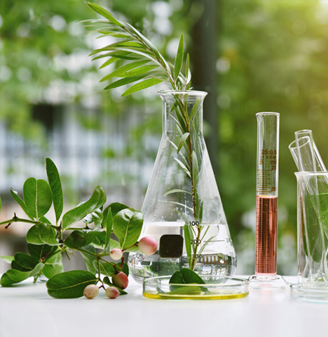 Industrie du verre et de la céramique