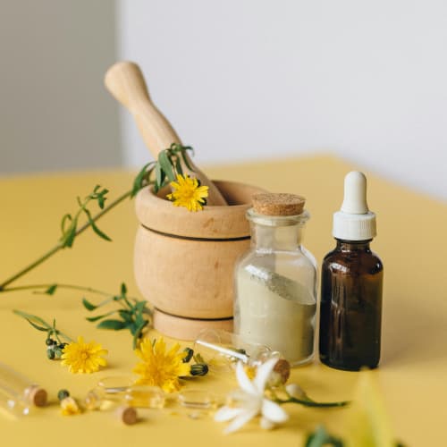 Ginkgo Biloba Extract