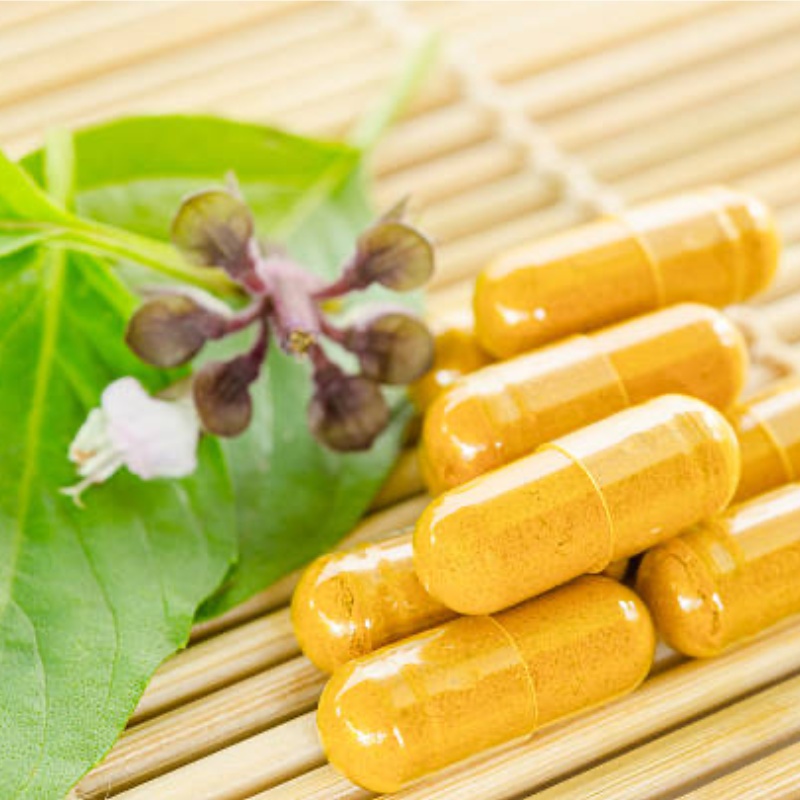 Icariin Extract 98% API grade compliant with USP EP standards