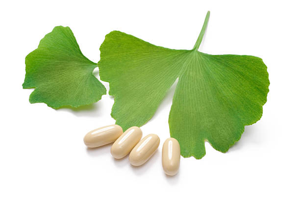Extrait de Ginkgo Biloba en poudre&nbsp;: essence végétale standardisée, pour des produits favorisant la santé cérébrale, cognitive et cardiovasculaire.